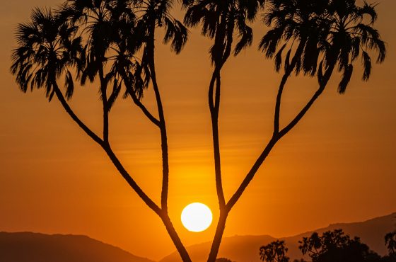 12 Days, 11 Nights Kenya Budget Camping Safari