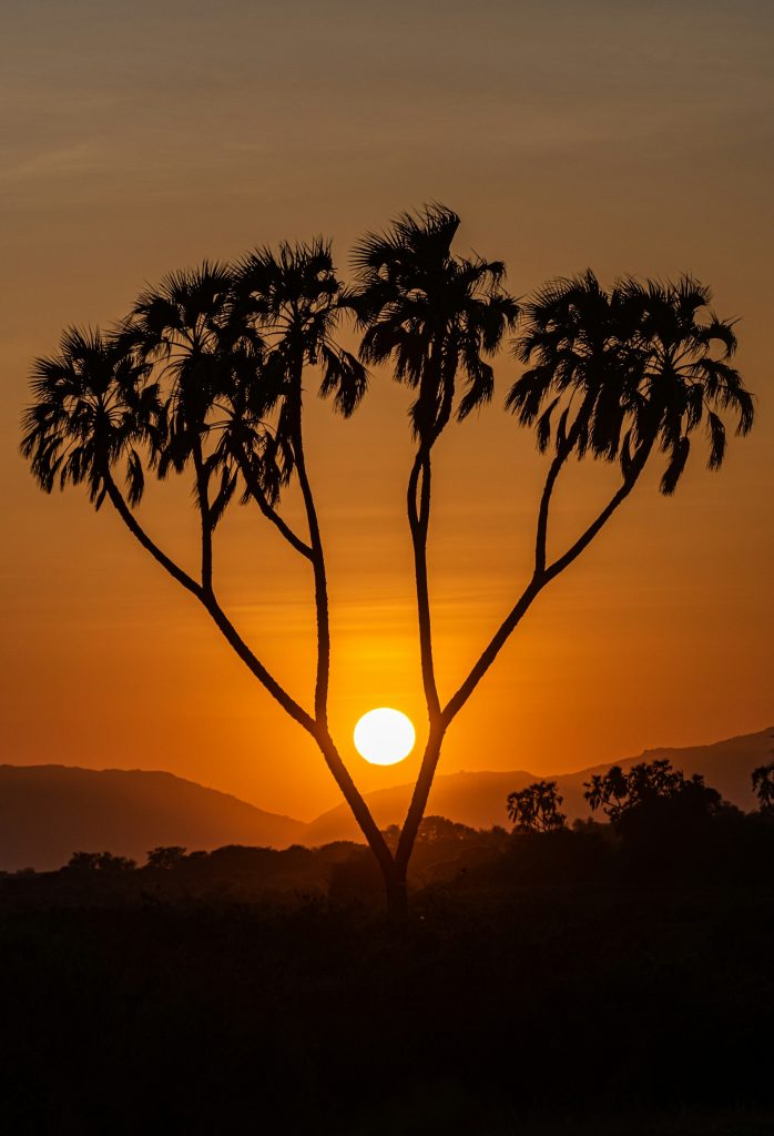 12 Days, 11 Nights Kenya Budget Camping Safari
