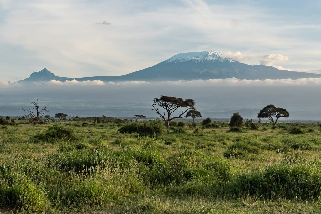 10 Days Kenya Wildlife Safari & Watamu Beach Vacation safari view 3