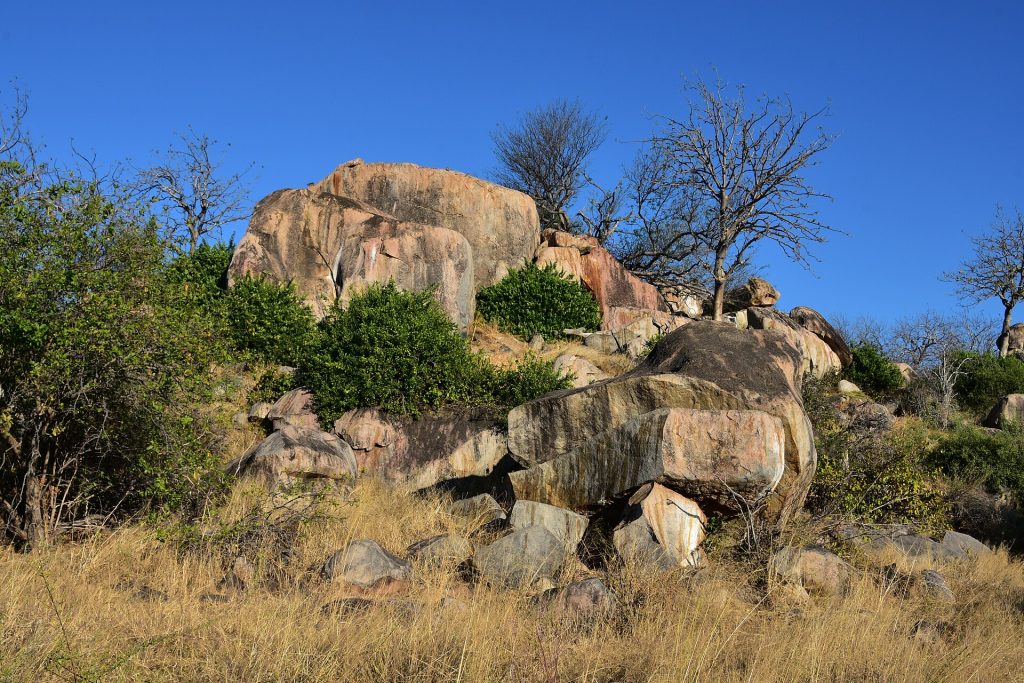 10 Days Tanzania Wildlife Safari & Zanzibar Beach Holiday gallery image 1
