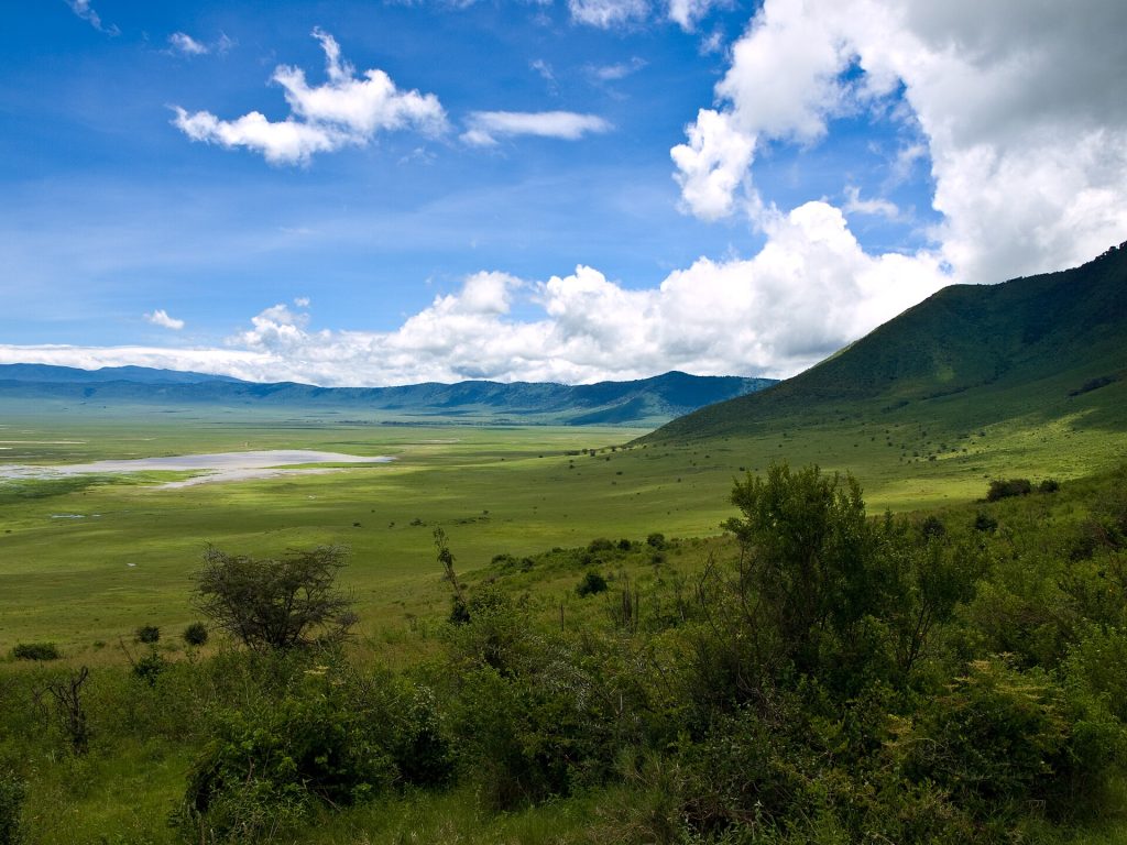 3 Days Lake Manyara & Ngorongoro Safari safari view 3