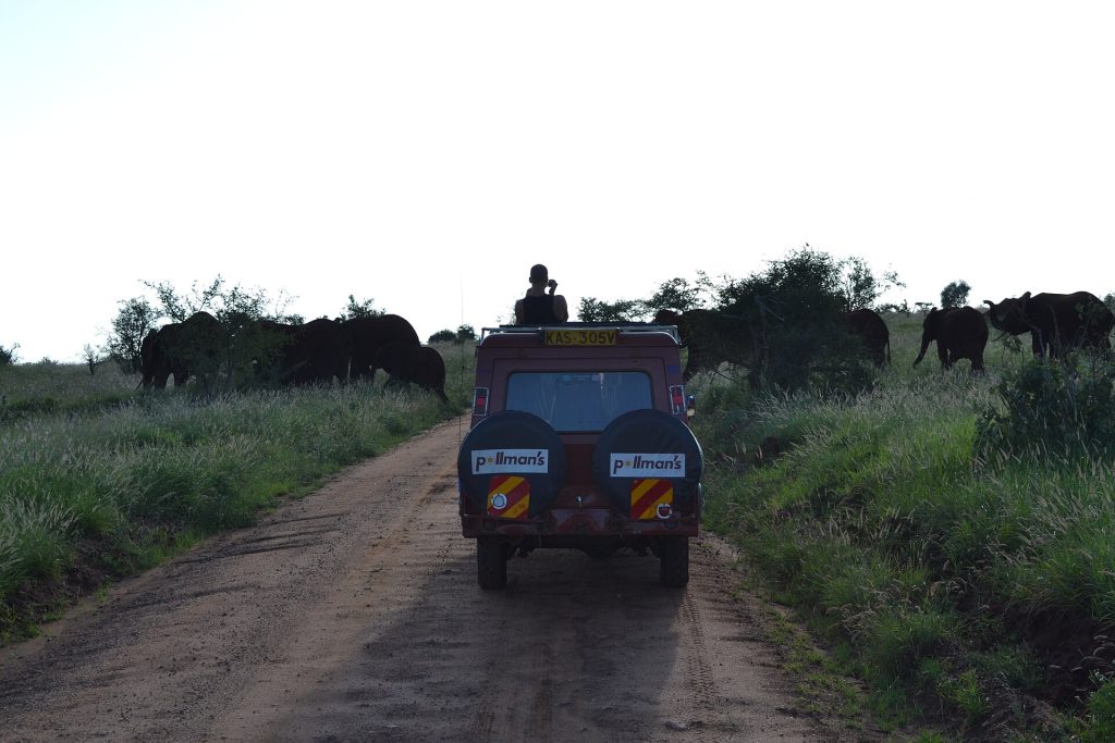 4 Days Maasai Mara & Lake Nakuru Lodge Safari safari view 4