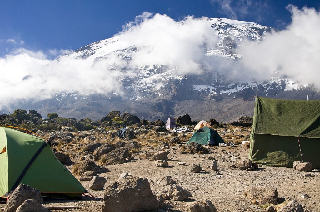 6 Days Mt Kilimanjaro Climbing: Rongai Route safari view 2