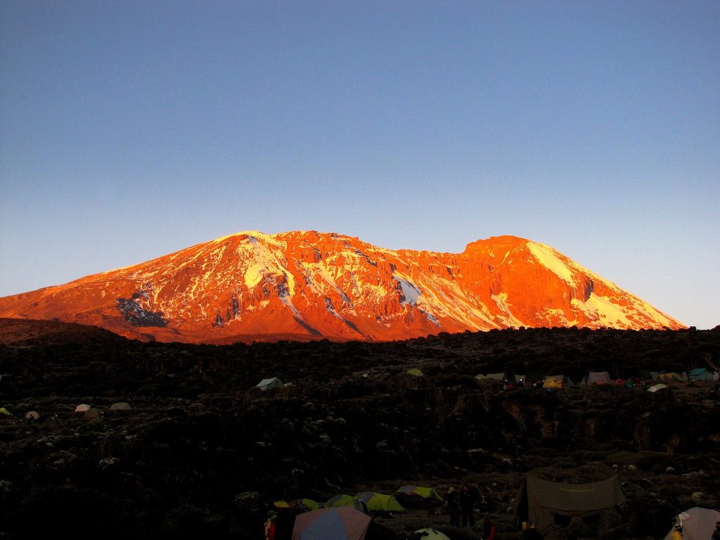 6 Days Mt Kilimanjaro Climbing: Shira Route safari view 4