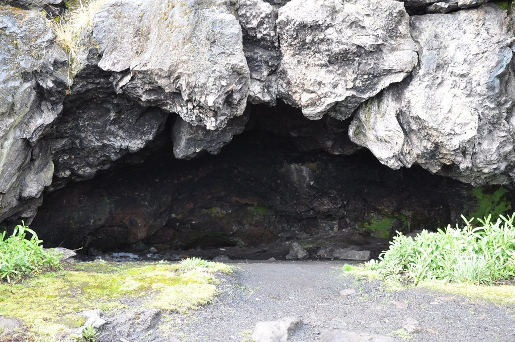 6 Days Mt Kilimanjaro Climbing: Shira Route safari view 2
