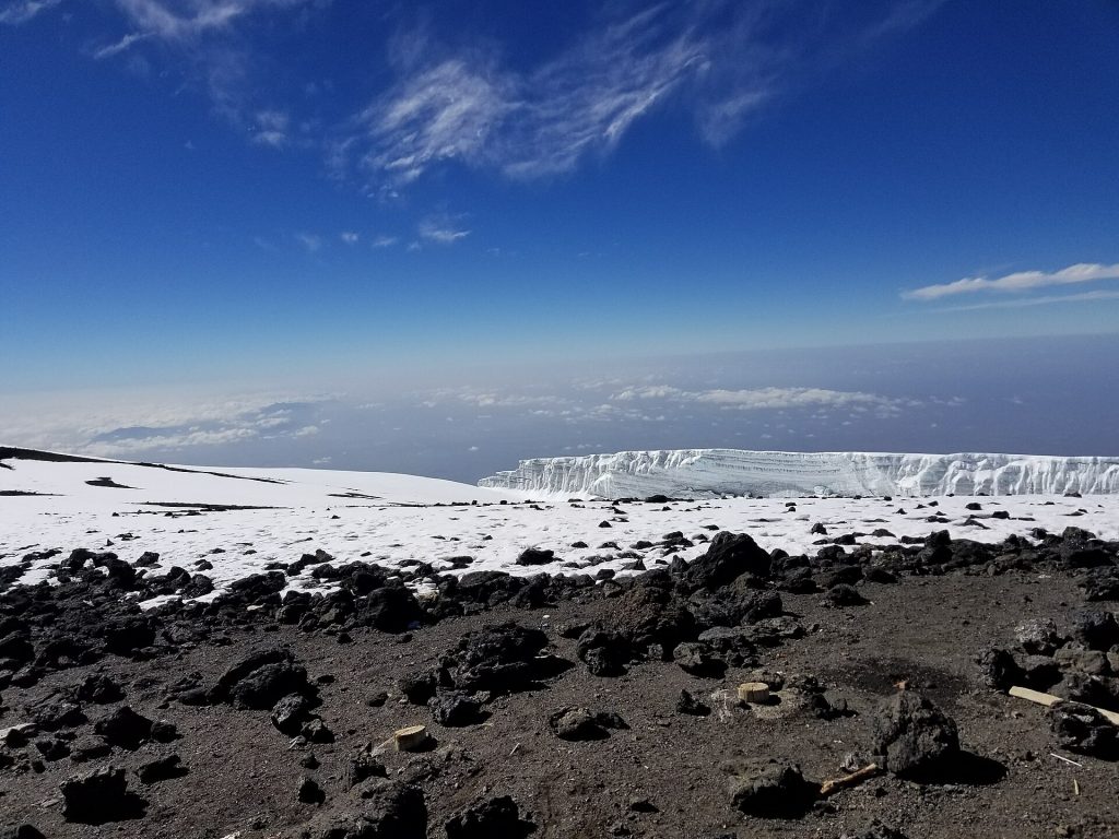 8 Days Mt Kilimanjaro Climbing: Lemosho Route safari view 3