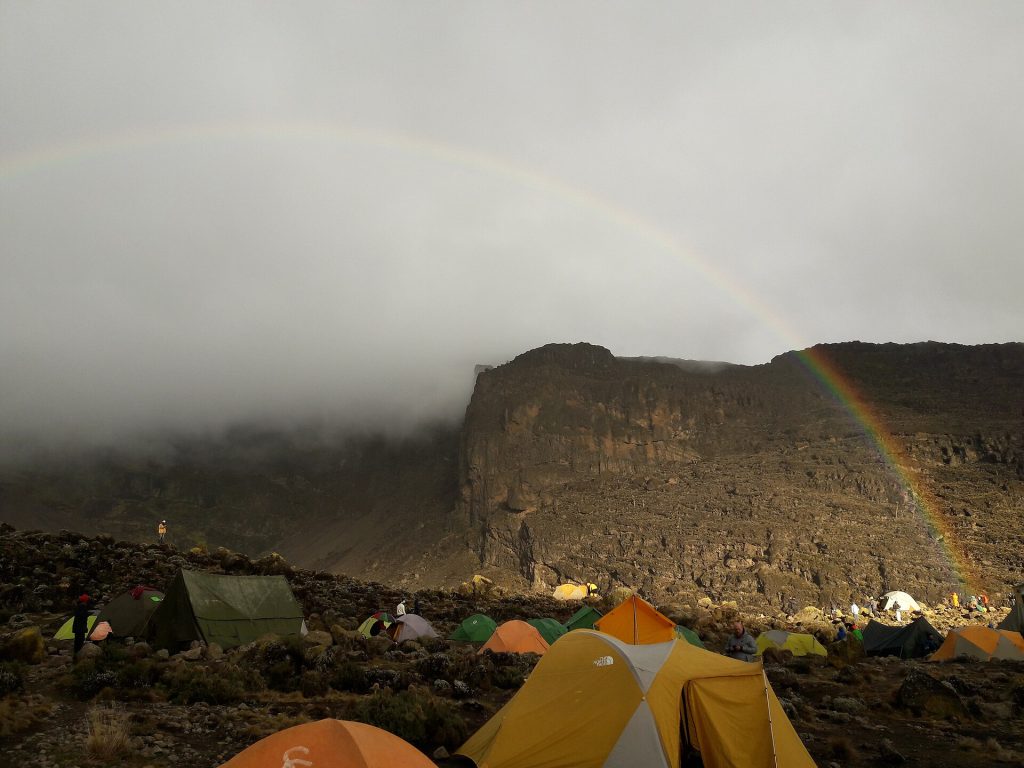 8 Days Mt Kilimanjaro Climbing: Lemosho Route safari view 2