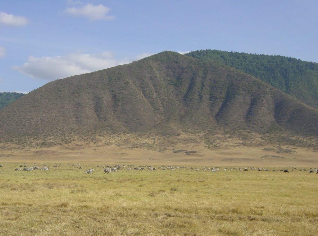 9 Days Arusha, Manyara, Serengeti, Ngorongoro & Tarangire Safari safari view 2