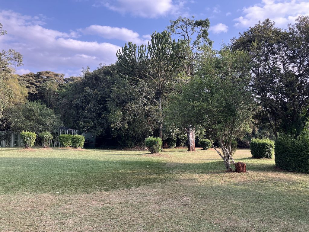 Karen Blixen Museum & Giraffe Centre Nairobi Tour safari view 4