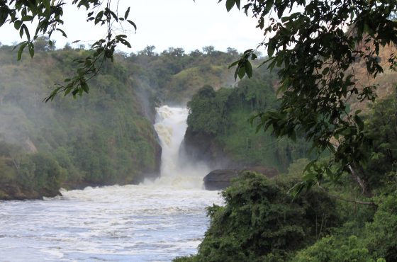 3 Days Uganda Wildlife Safari to Murchison Falls National Park