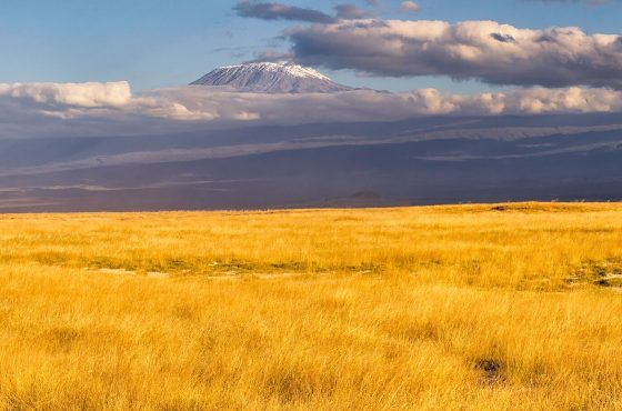 8 Days Mt Kilimanjaro Climbing: Lemosho Route