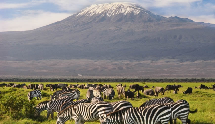 6 Days Masai Mara, Lake Nakuru & Amboseli Budget Safari safari view 4