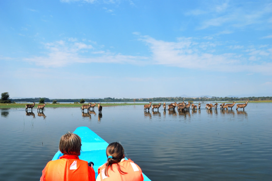 4 Days Masai Mara, Lake Naivasha & Hells Gate Budget Safari