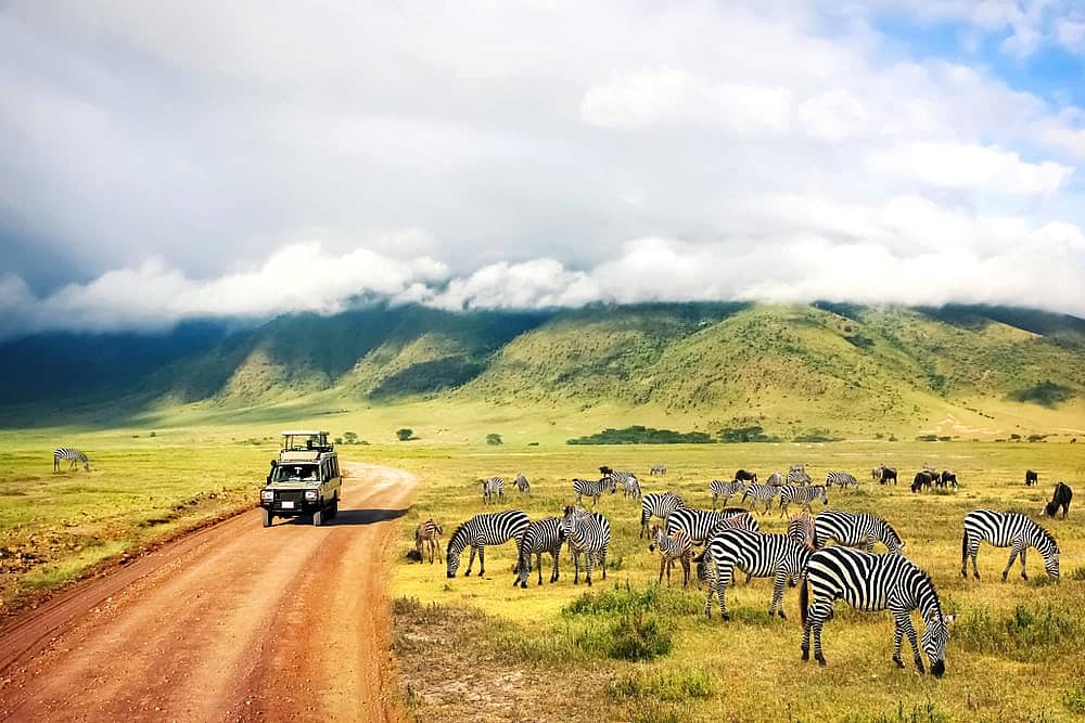 10 Days Best of Kenya & Tanzania Lodge Safari safari view 2